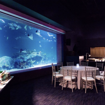 Event table set up near large fishtanks inside of Scottsdale OdySea Aquarium