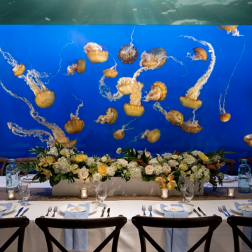 Vancouver Aquarium event tablescape with etherial jellyfish swimming in the tank behind it
